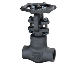 Bonney Forge Pakistan